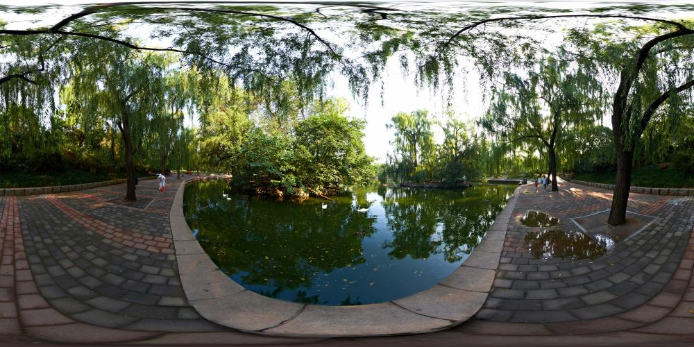 动景+天鹅湖